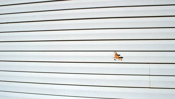 Best Siding Removal and Disposal  in Vandenberg Village, CA