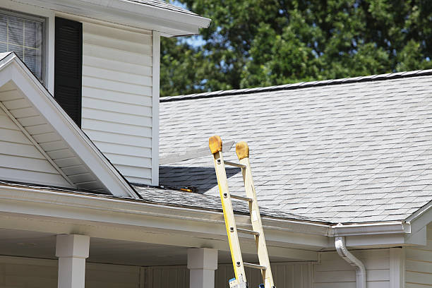 Best Custom Siding Design  in Vandenberg Village, CA