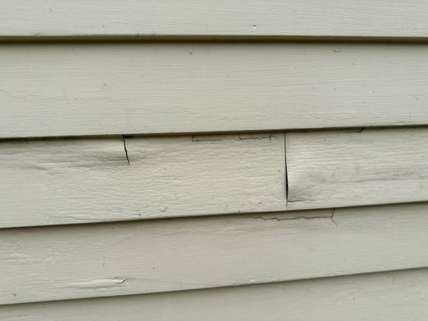 Affordable siding repair and maintenance services in Vandenberg Village, CA